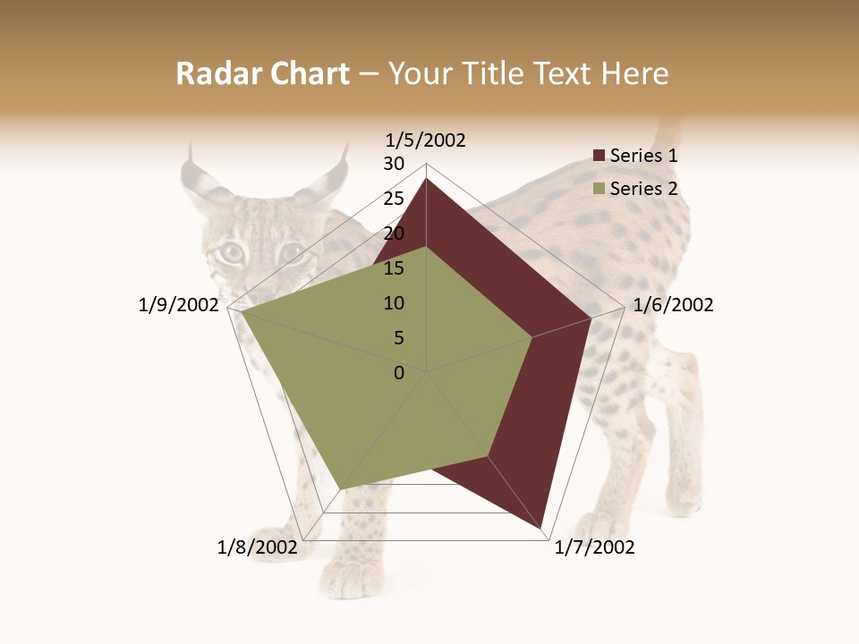 Cat Bobcat Male PowerPoint Template
