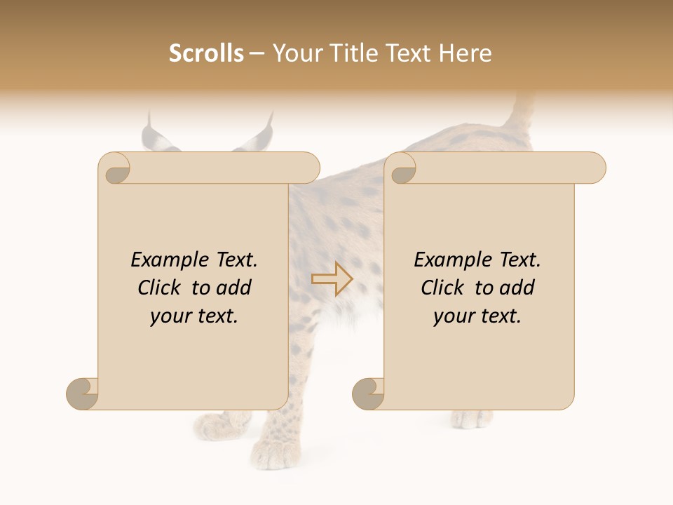 Cat Bobcat Male PowerPoint Template