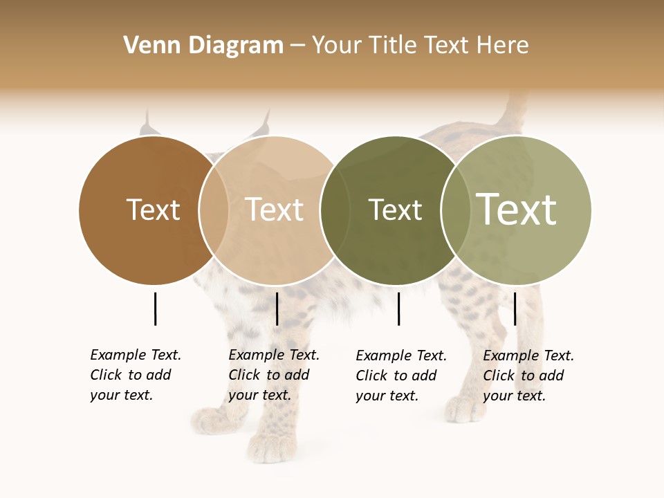 Cat Bobcat Male PowerPoint Template