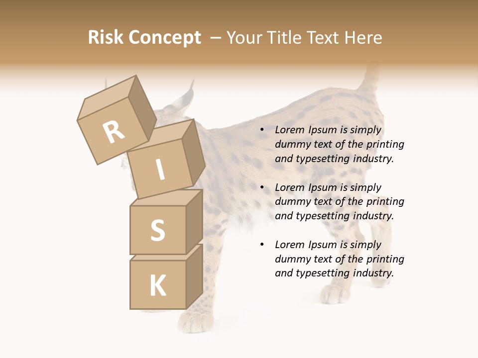 Cat Bobcat Male PowerPoint Template