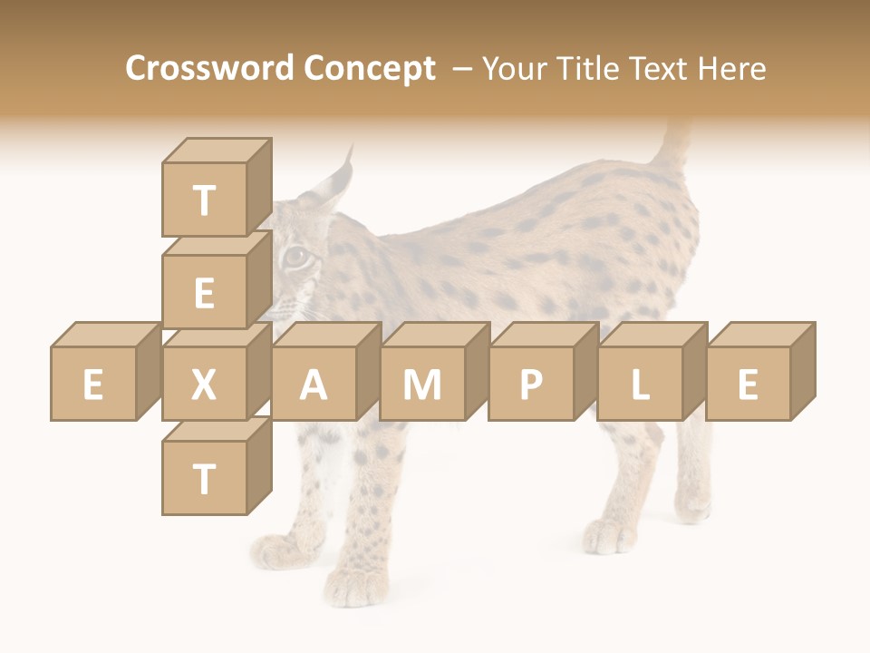 Cat Bobcat Male PowerPoint Template