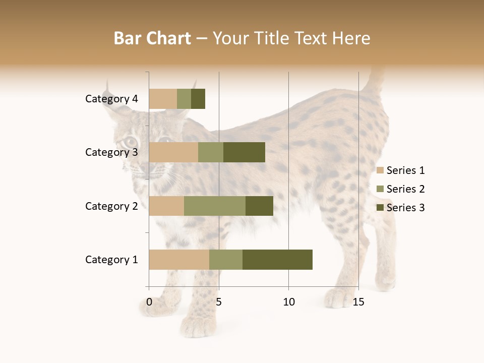 Cat Bobcat Male PowerPoint Template