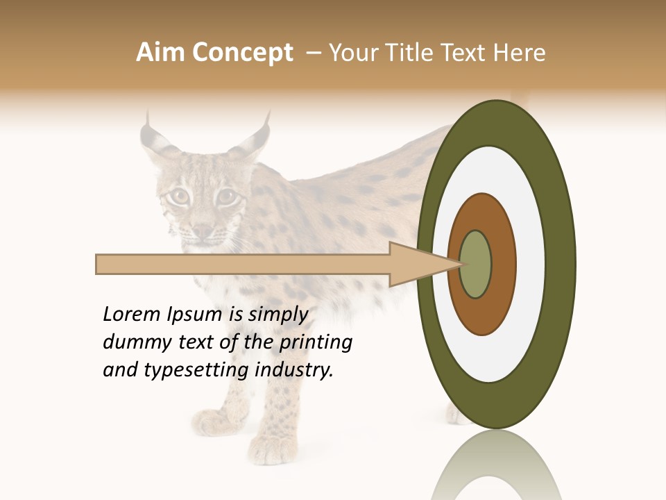 Cat Bobcat Male PowerPoint Template