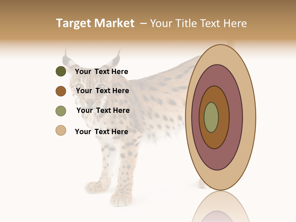 Cat Bobcat Male PowerPoint Template