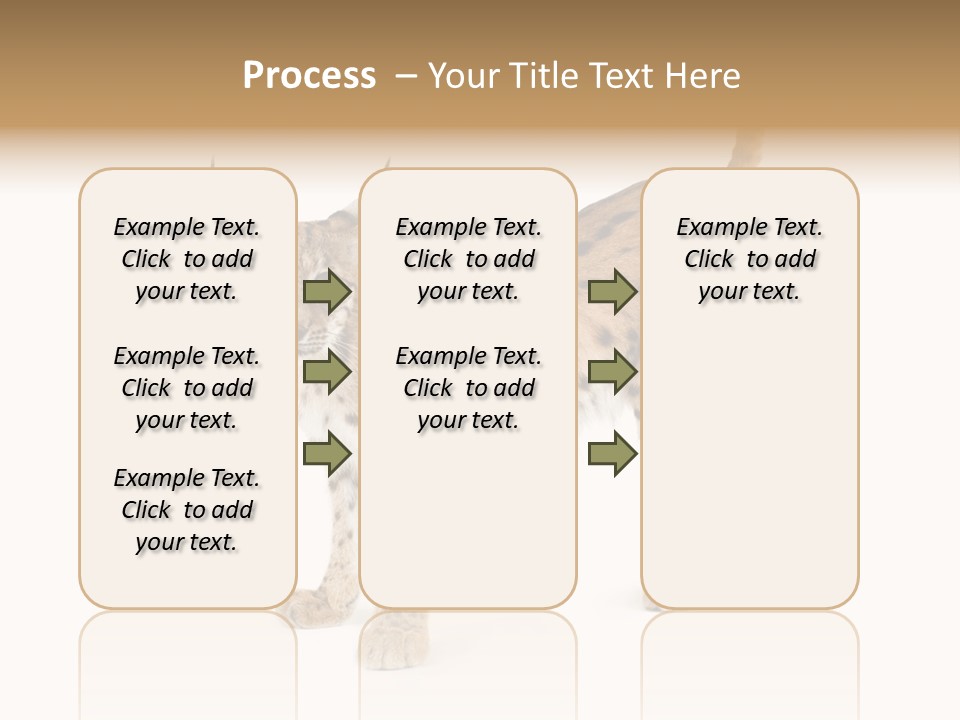 Cat Bobcat Male PowerPoint Template