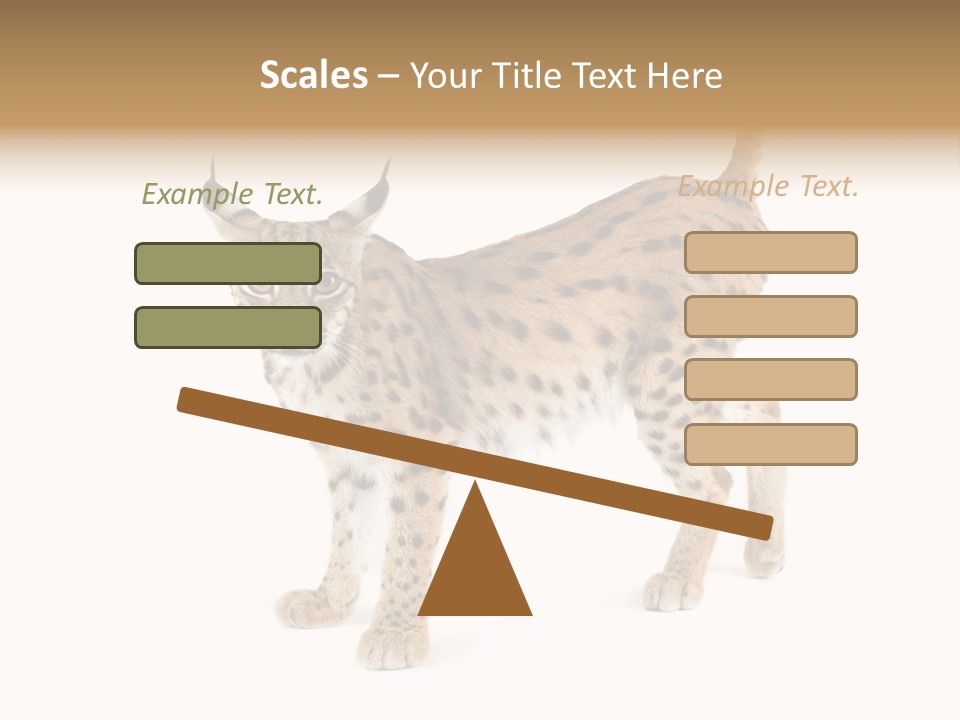 Cat Bobcat Male PowerPoint Template