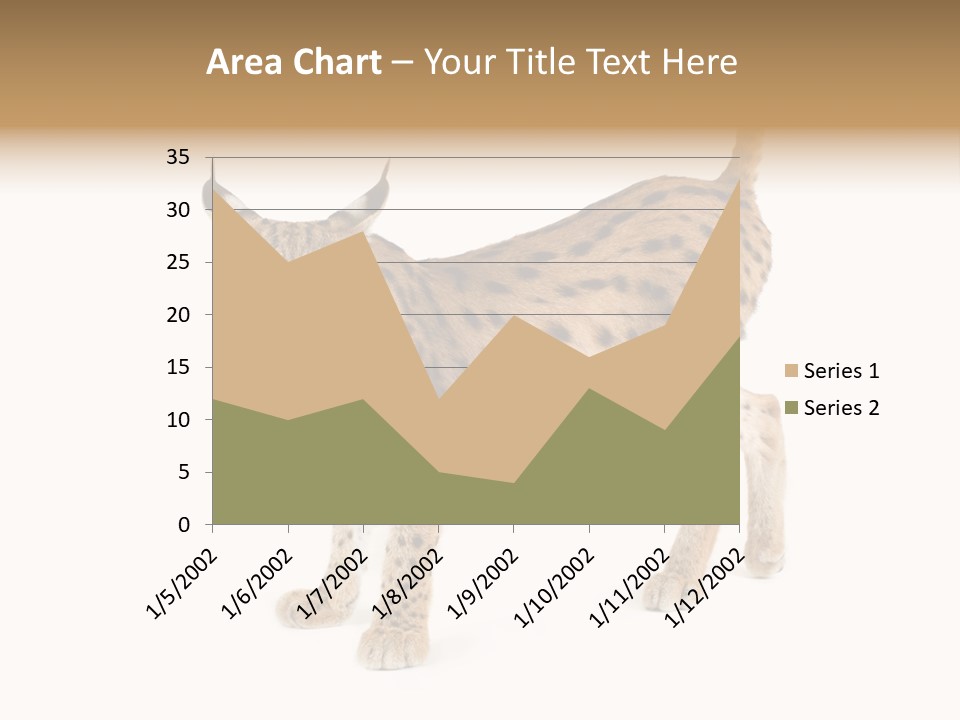 Cat Bobcat Male PowerPoint Template