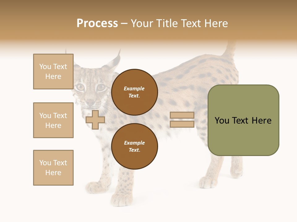 Cat Bobcat Male PowerPoint Template