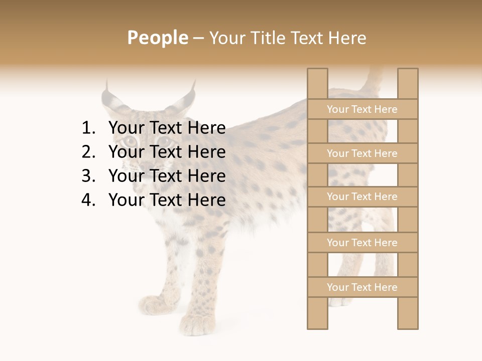 Cat Bobcat Male PowerPoint Template