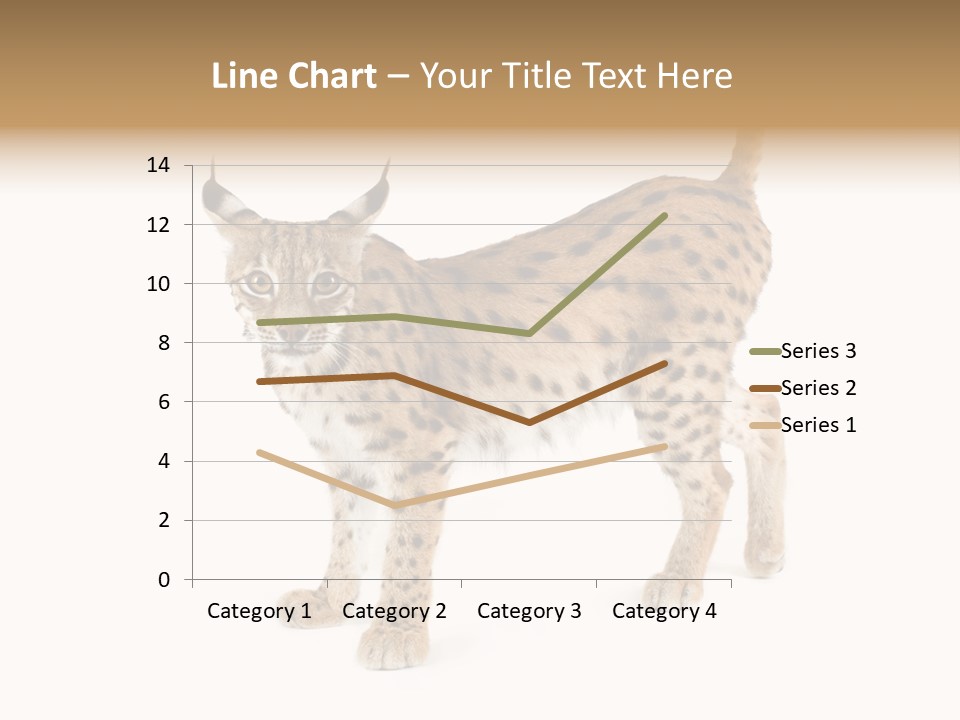 Cat Bobcat Male PowerPoint Template