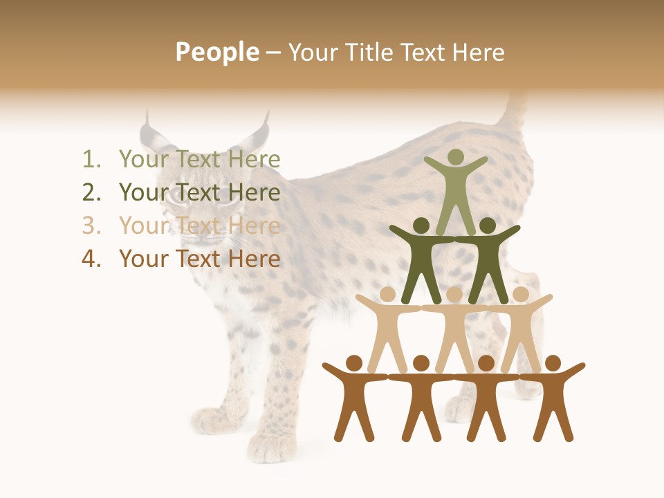 Cat Bobcat Male PowerPoint Template