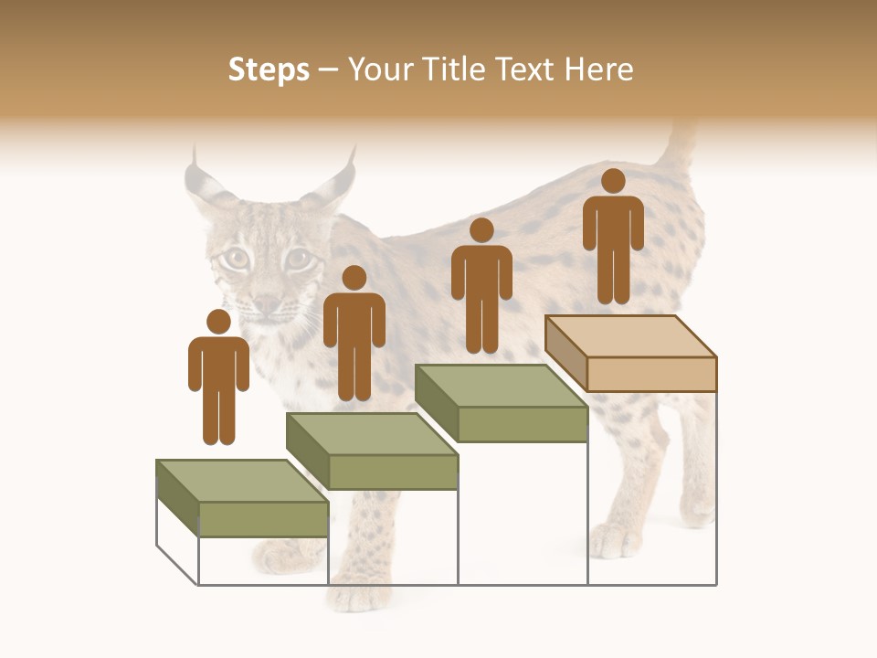 Cat Bobcat Male PowerPoint Template