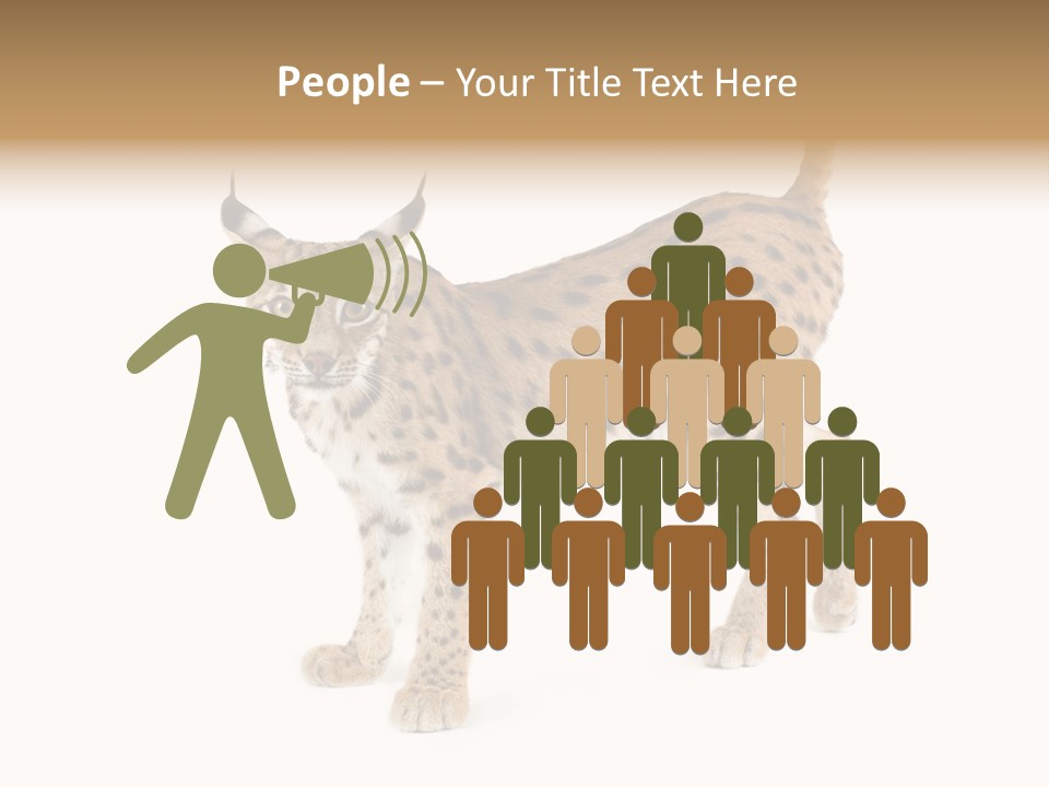 Cat Bobcat Male PowerPoint Template