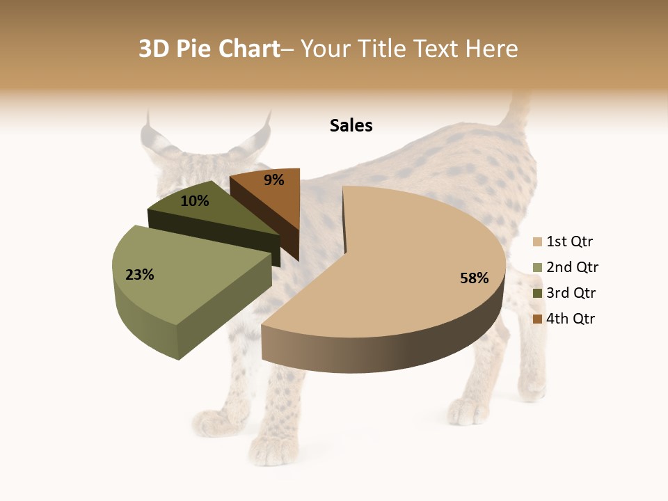 Cat Bobcat Male PowerPoint Template
