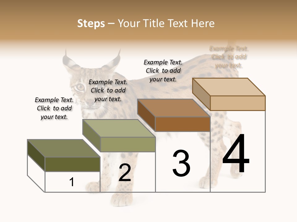 Cat Bobcat Male PowerPoint Template