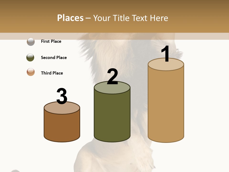 Studio Shot Isolated On White Looking Up PowerPoint Template