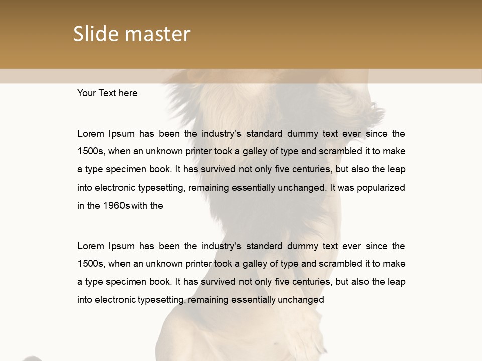 Studio Shot Isolated On White Looking Up PowerPoint Template