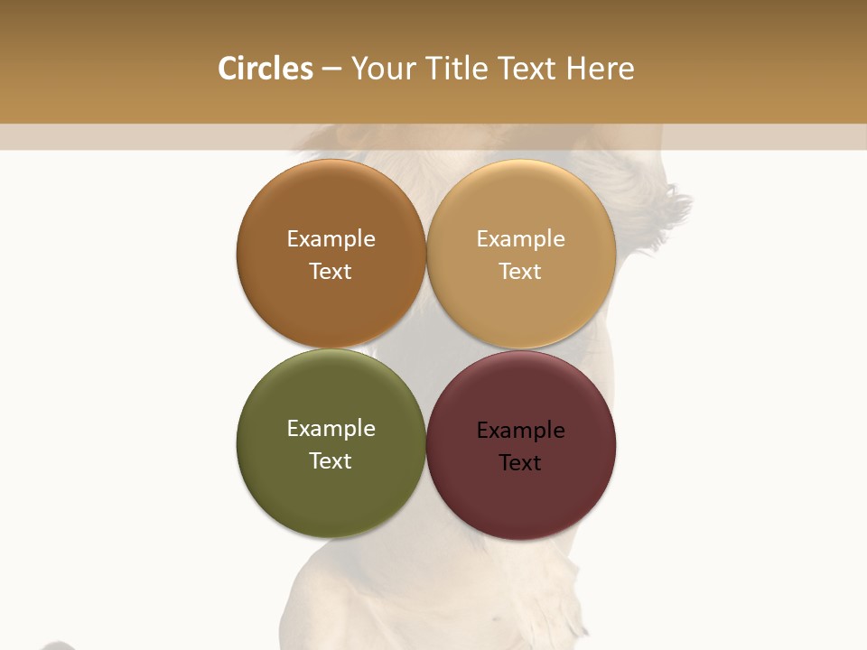 Studio Shot Isolated On White Looking Up PowerPoint Template