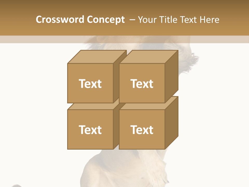 Studio Shot Isolated On White Looking Up PowerPoint Template