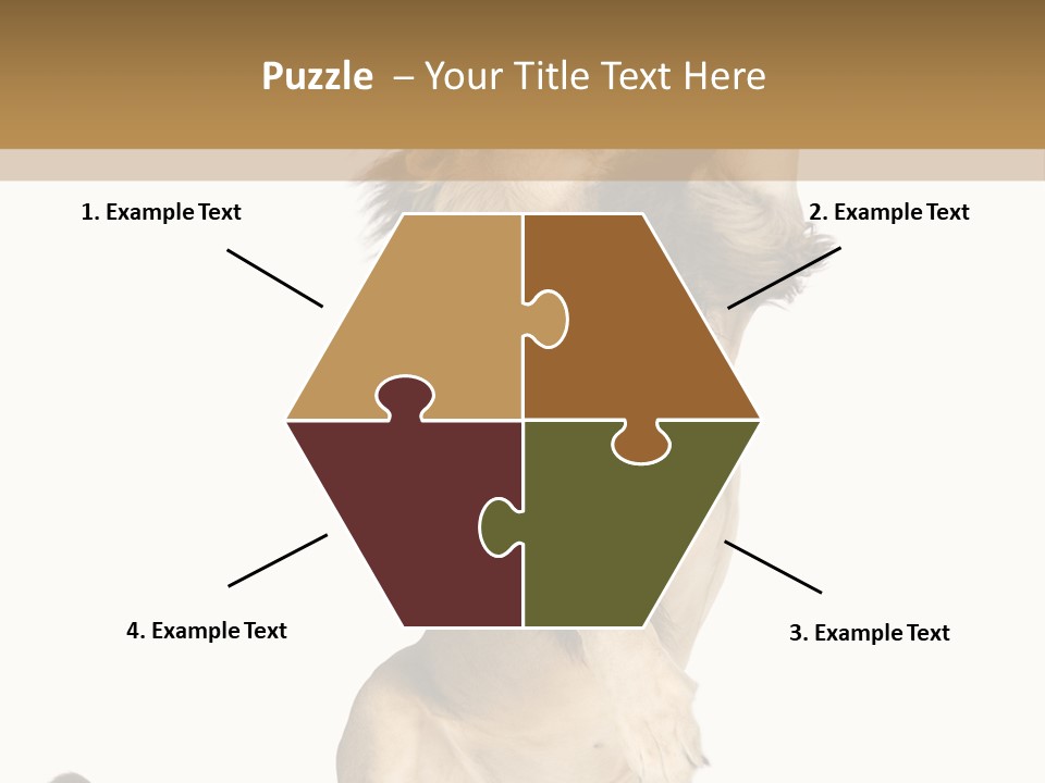 Studio Shot Isolated On White Looking Up PowerPoint Template