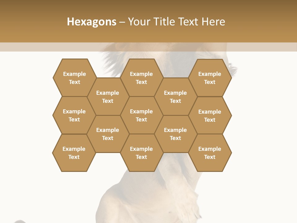 Studio Shot Isolated On White Looking Up PowerPoint Template