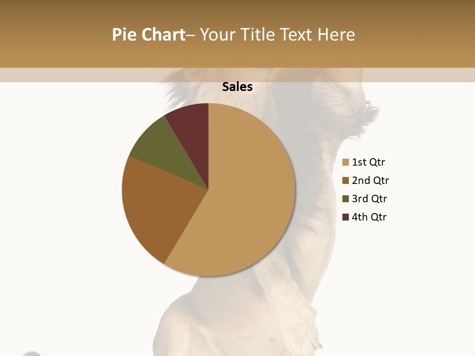 Studio Shot Isolated On White Looking Up PowerPoint Template