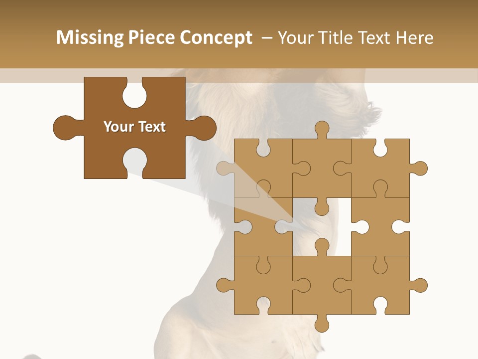 Studio Shot Isolated On White Looking Up PowerPoint Template