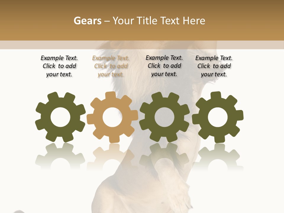 Studio Shot Isolated On White Looking Up PowerPoint Template