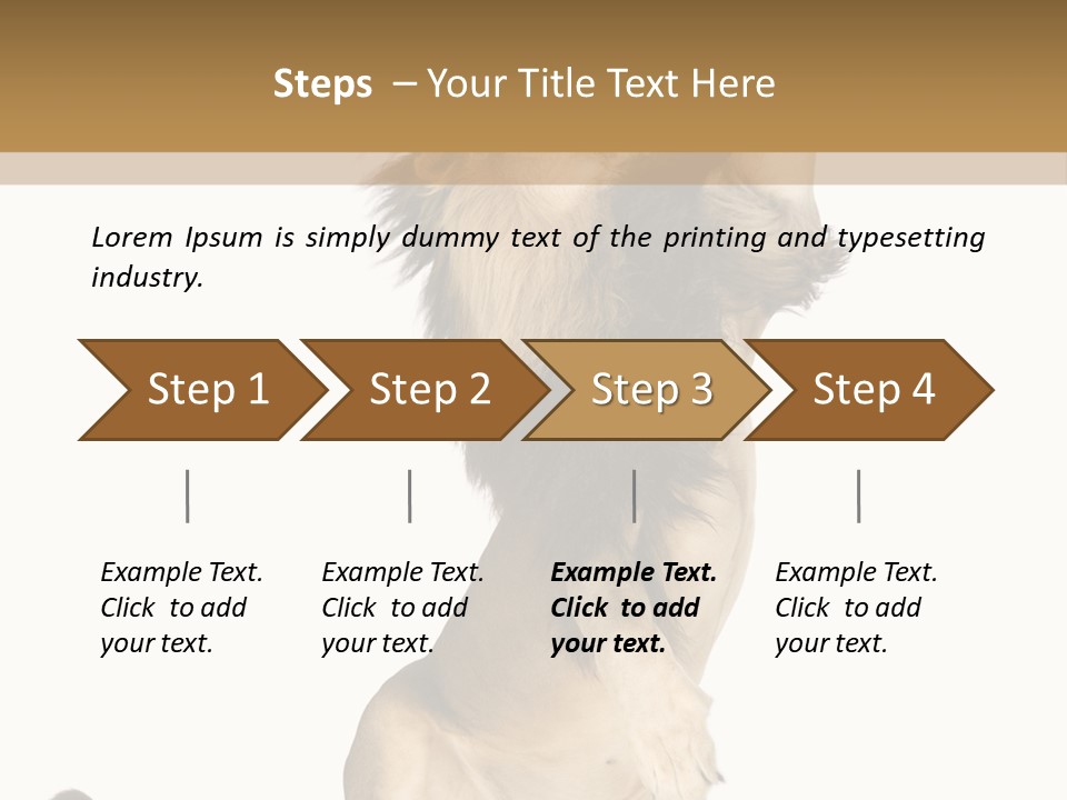 Studio Shot Isolated On White Looking Up PowerPoint Template