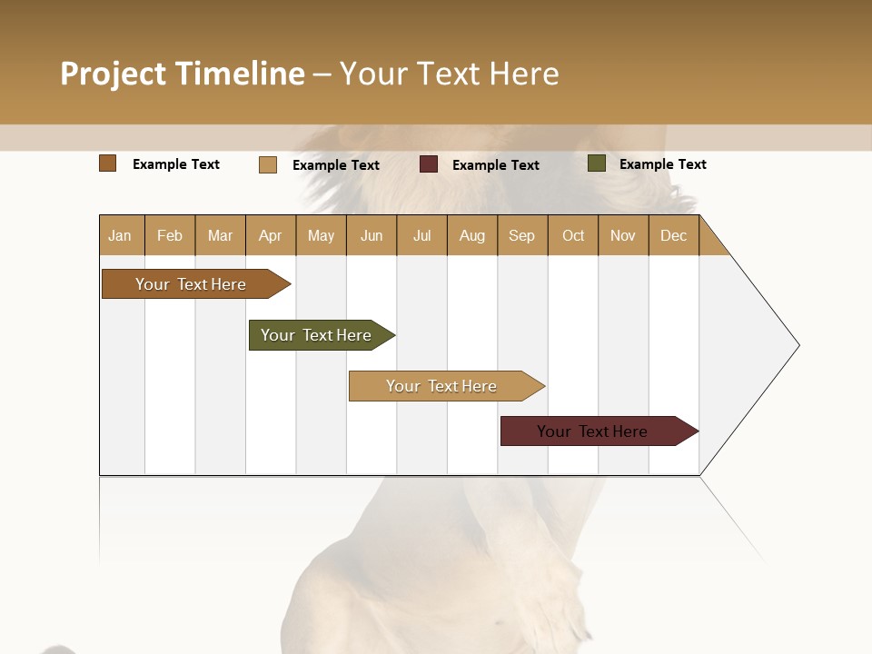 Studio Shot Isolated On White Looking Up PowerPoint Template