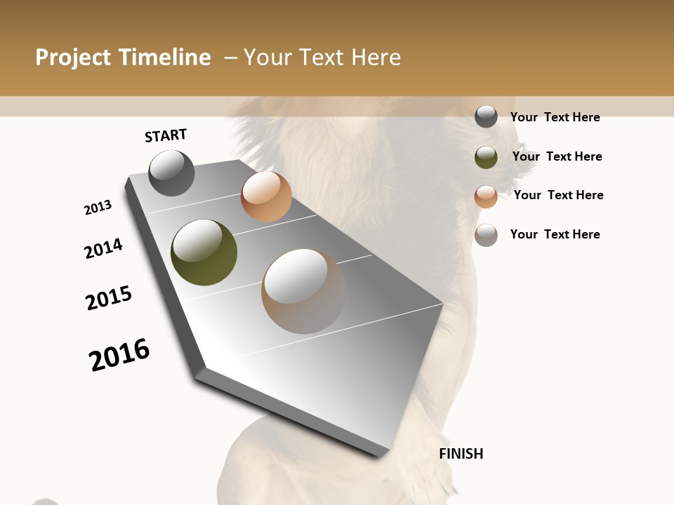 Studio Shot Isolated On White Looking Up PowerPoint Template