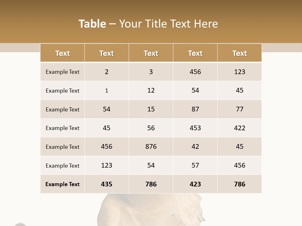 Studio Shot Isolated On White Looking Up PowerPoint Template