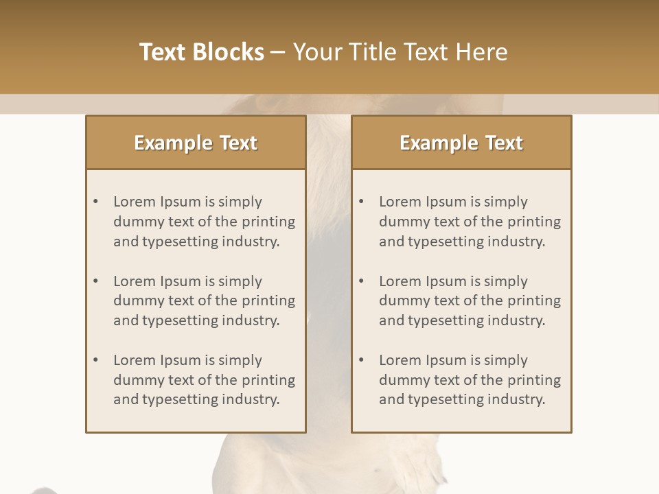 Studio Shot Isolated On White Looking Up PowerPoint Template