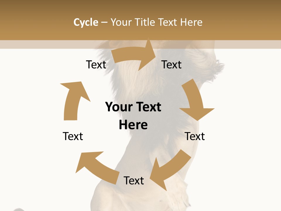 Studio Shot Isolated On White Looking Up PowerPoint Template