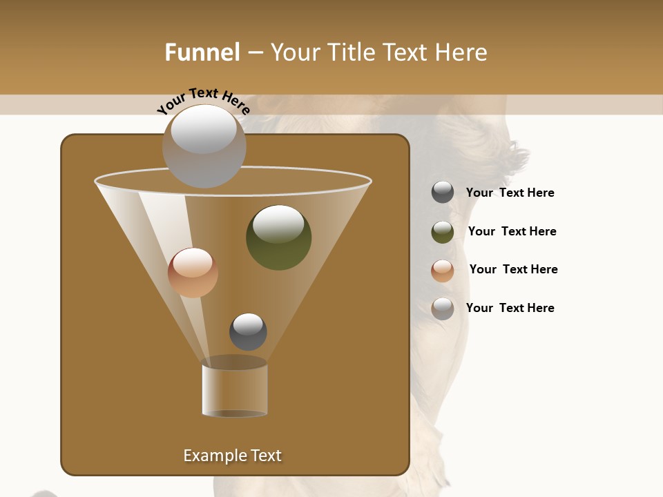 Studio Shot Isolated On White Looking Up PowerPoint Template