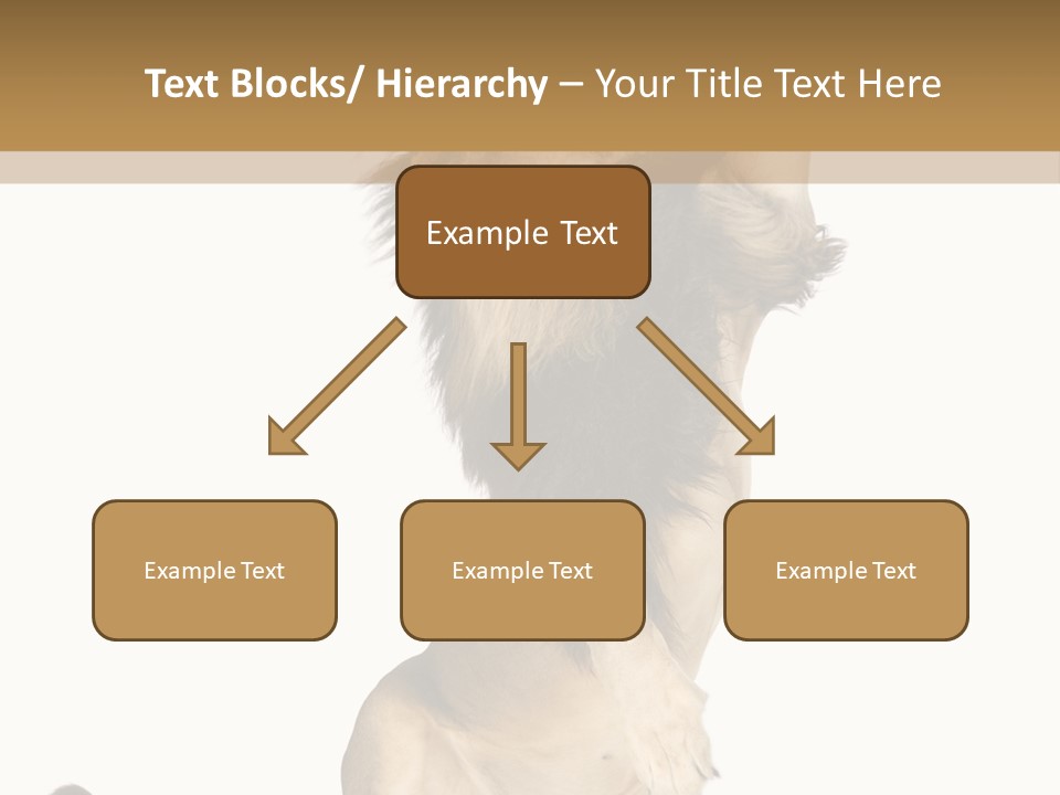 Studio Shot Isolated On White Looking Up PowerPoint Template