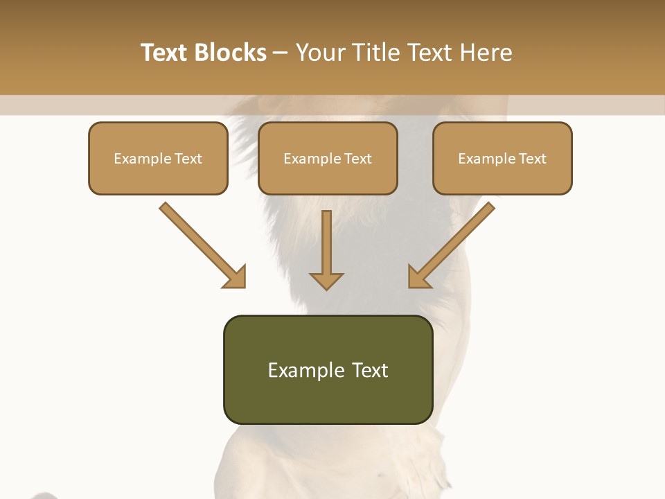 Studio Shot Isolated On White Looking Up PowerPoint Template