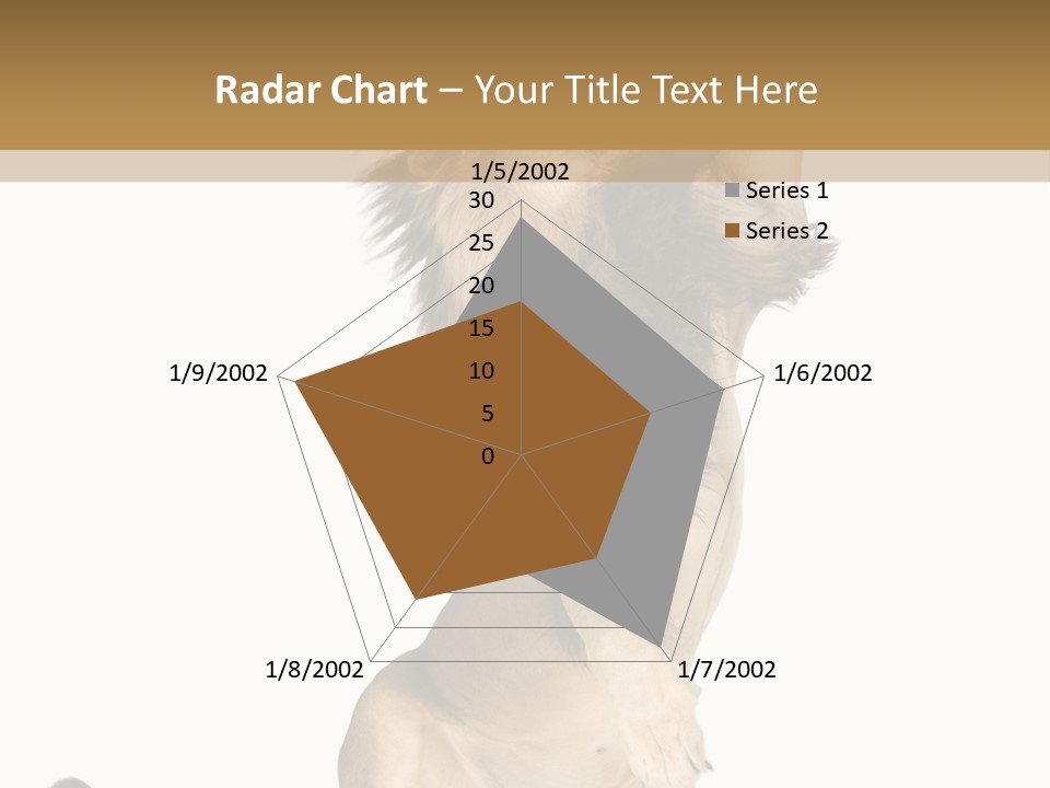 Studio Shot Isolated On White Looking Up PowerPoint Template
