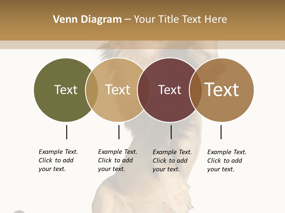 Studio Shot Isolated On White Looking Up PowerPoint Template