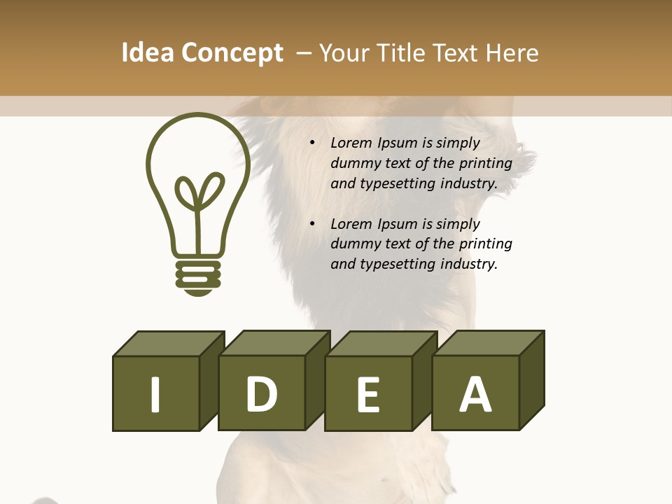 Studio Shot Isolated On White Looking Up PowerPoint Template