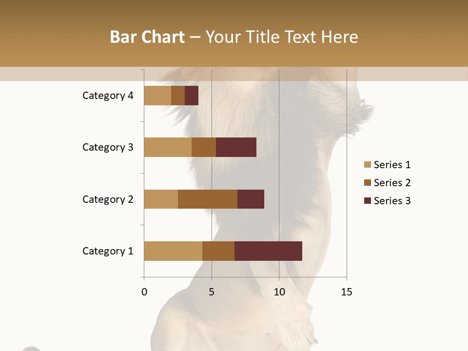 Studio Shot Isolated On White Looking Up PowerPoint Template