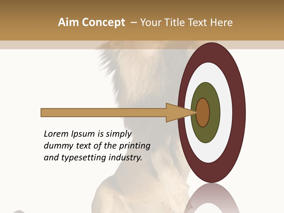 Studio Shot Isolated On White Looking Up PowerPoint Template