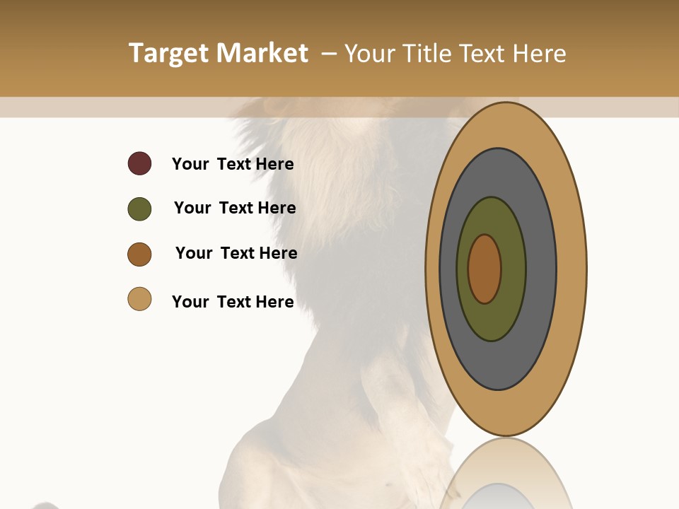 Studio Shot Isolated On White Looking Up PowerPoint Template