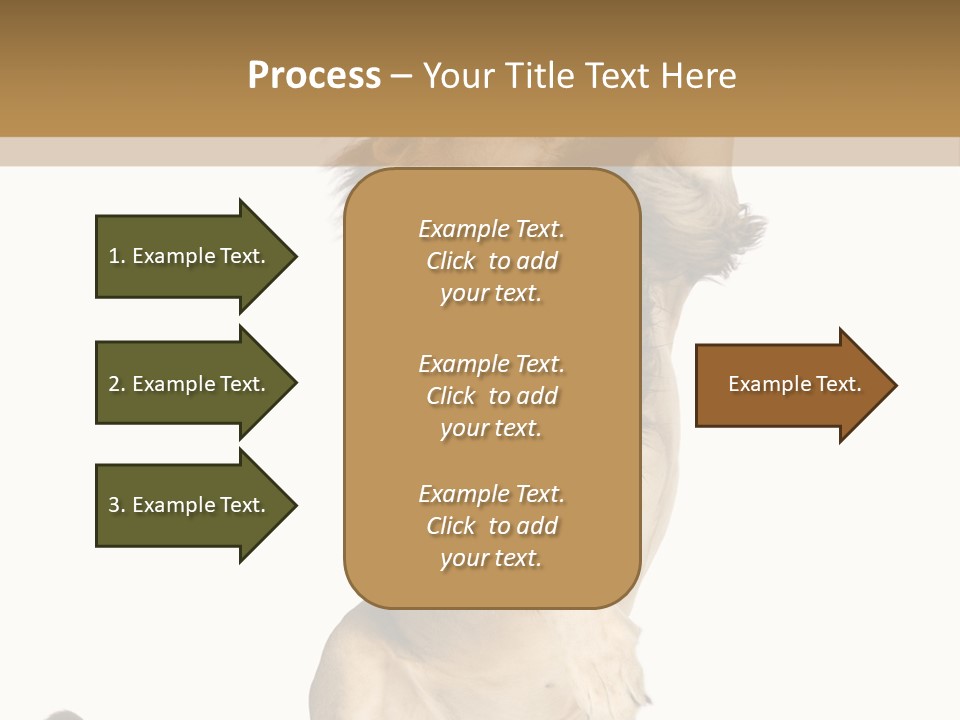 Studio Shot Isolated On White Looking Up PowerPoint Template