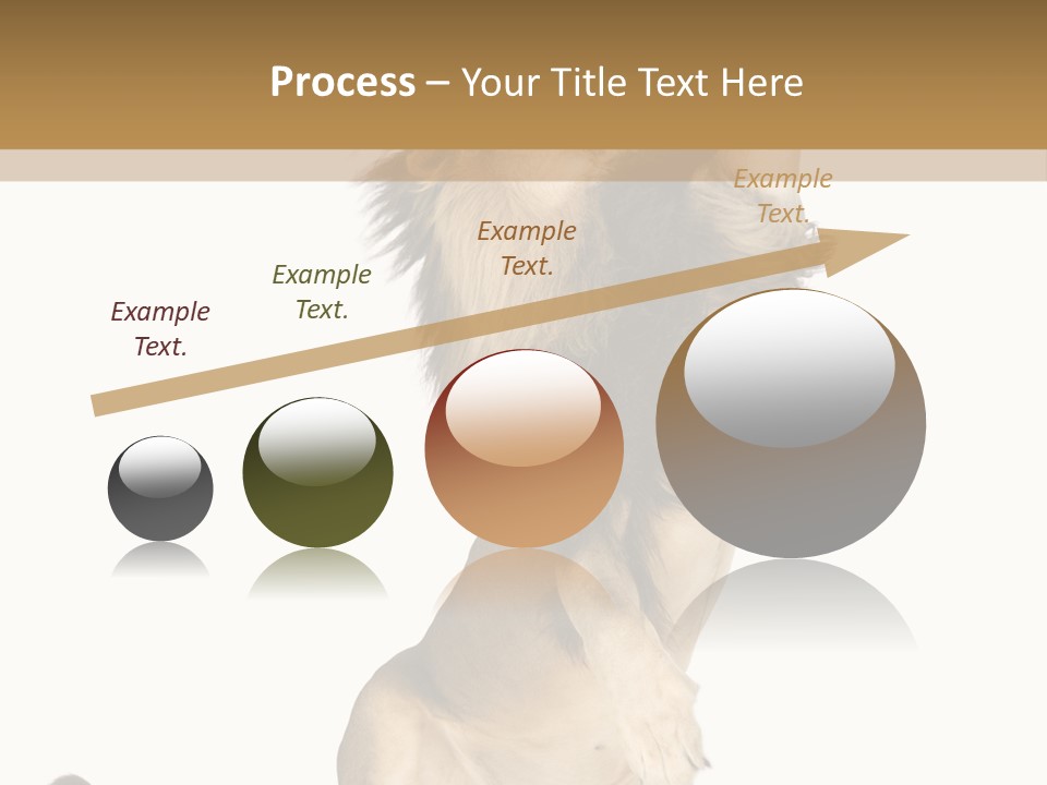 Studio Shot Isolated On White Looking Up PowerPoint Template