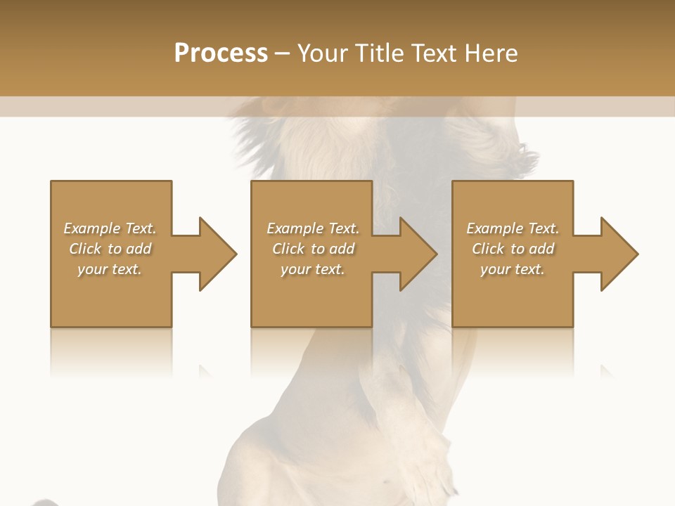 Studio Shot Isolated On White Looking Up PowerPoint Template