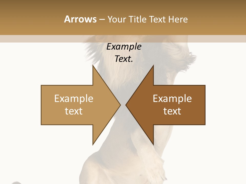 Studio Shot Isolated On White Looking Up PowerPoint Template