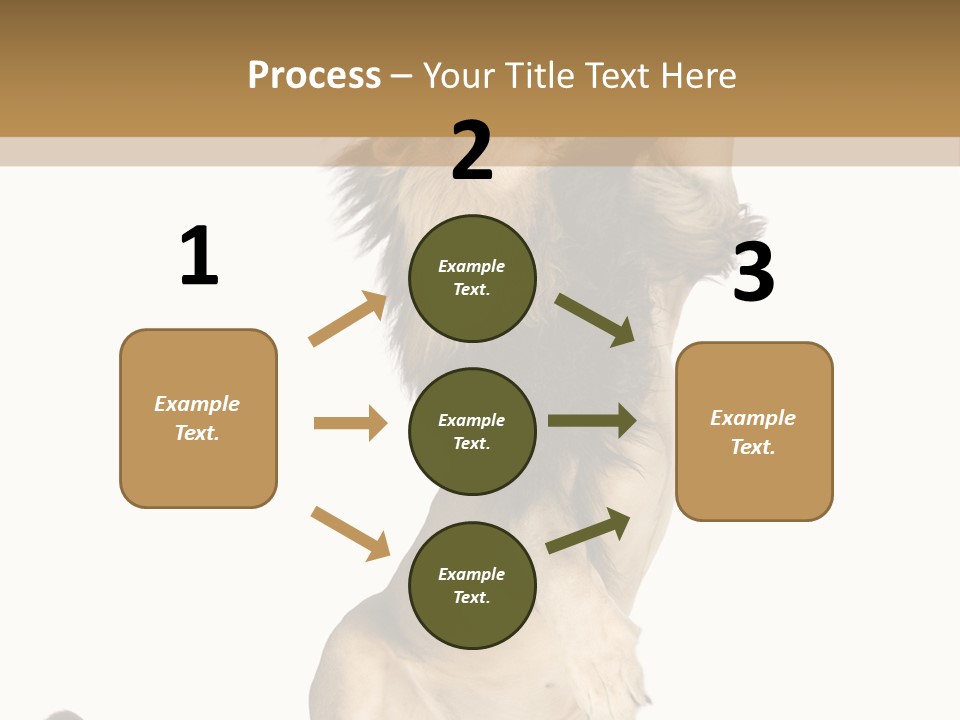 Studio Shot Isolated On White Looking Up PowerPoint Template