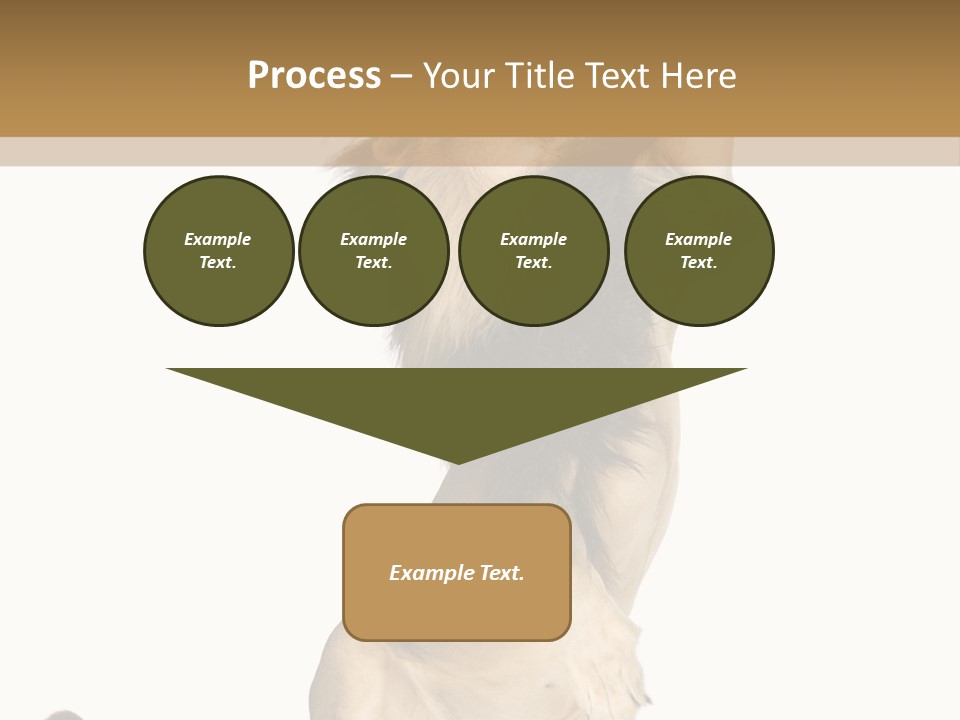 Studio Shot Isolated On White Looking Up PowerPoint Template