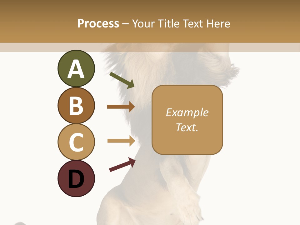 Studio Shot Isolated On White Looking Up PowerPoint Template